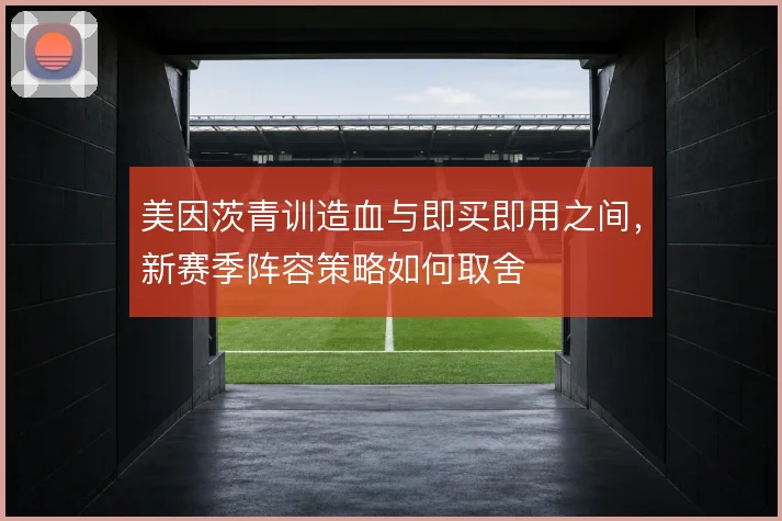 美因茨青训造血与即买即用之间,新赛季阵容策略如何取舍